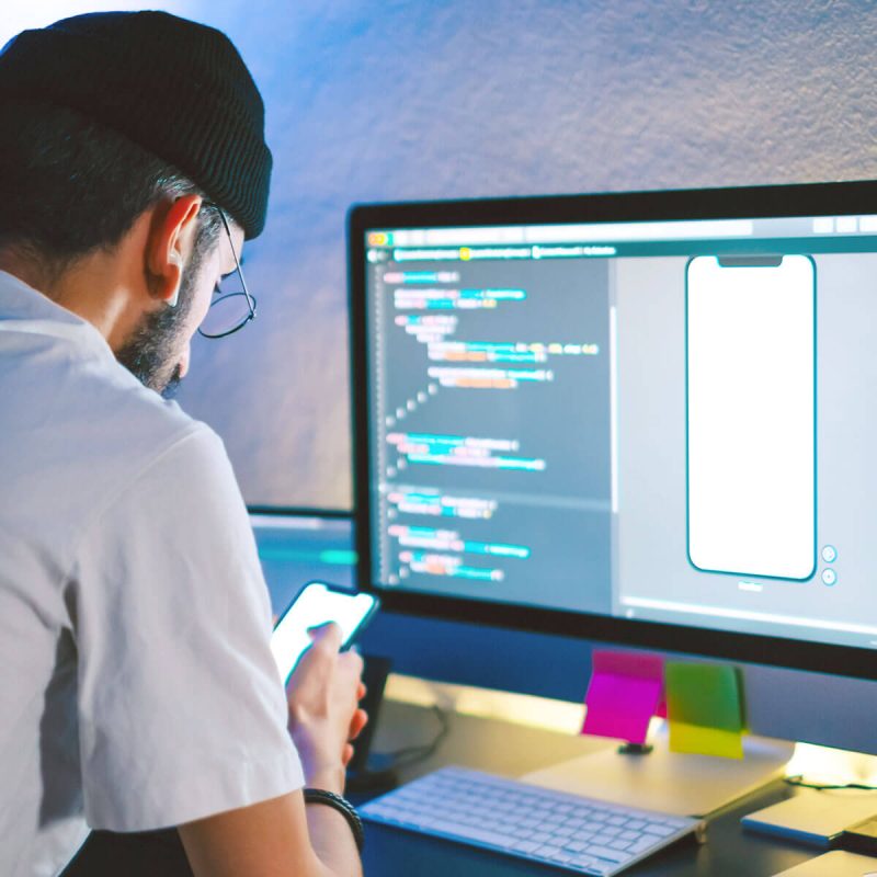 Software Development 12